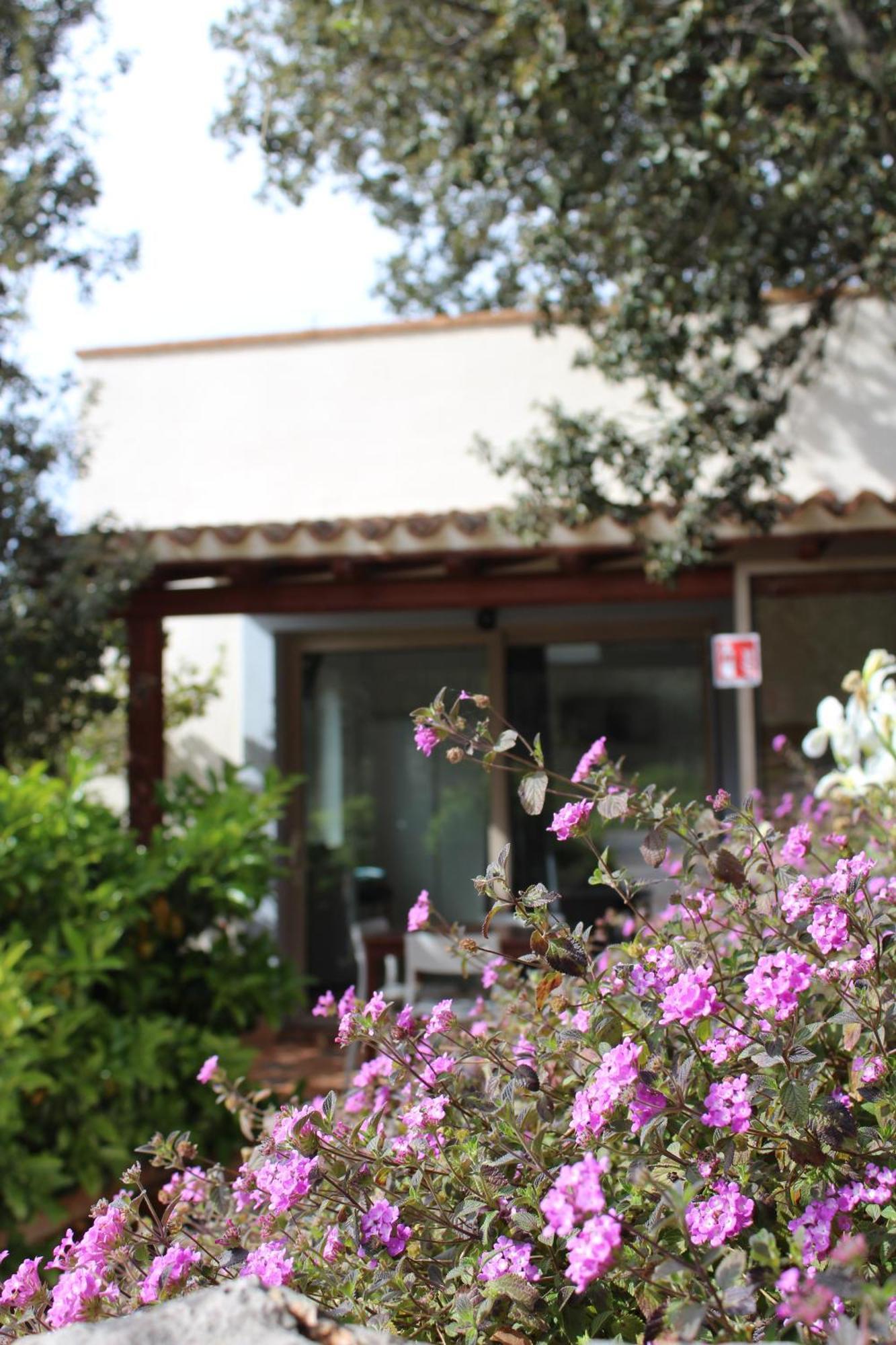 Apartment Casa Piredda Icore Iun R7749 *